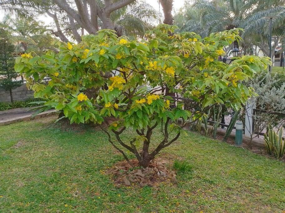 Biệt thự Mũi Né Hồ Bơi Sân Thượng Sân Vườn - Villa Muine Pool Terrace Garden Phan Thiet Exterior foto